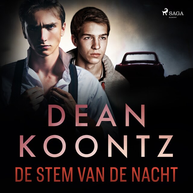 Book cover for De stem van de nacht