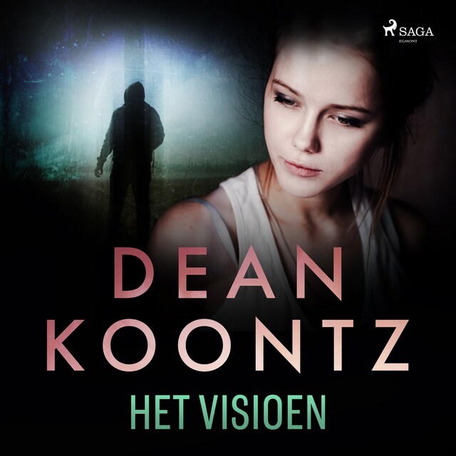 Book cover for Het visioen