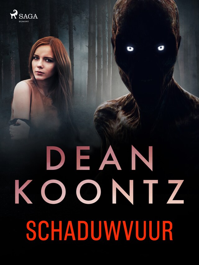 Copertina del libro per Schaduwvuur