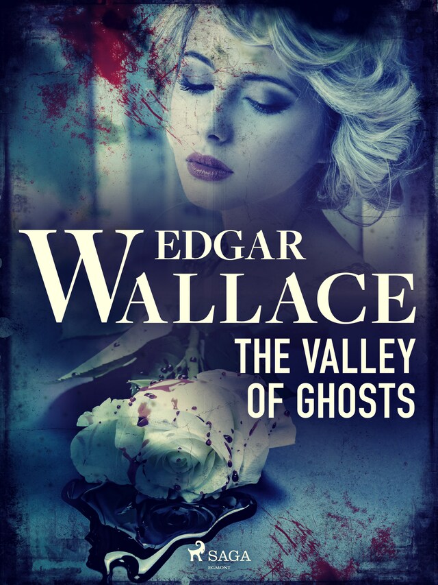Book cover for The Valley of Ghosts