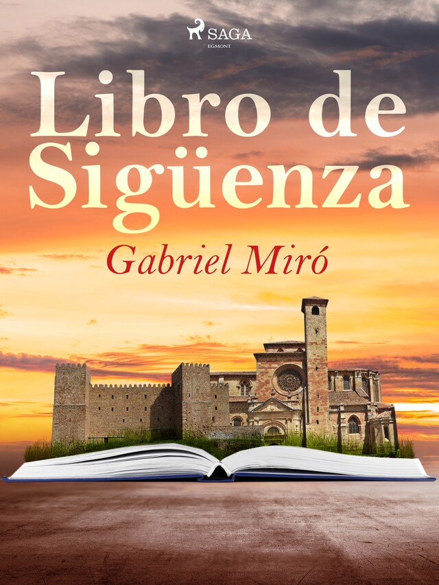 Book cover for Libro de Sigüenza