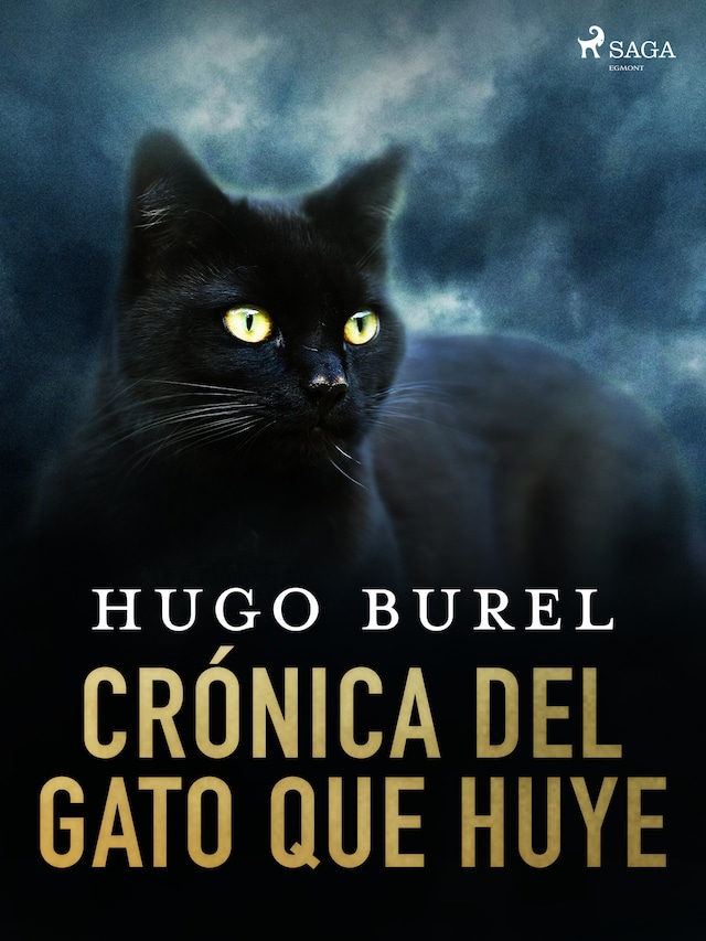 Buchcover für Crónica del gato que huye