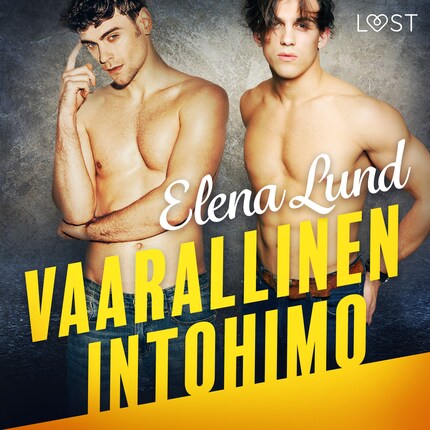 Vaarallinen intohimo - eroottinen novelli bookCoverFor