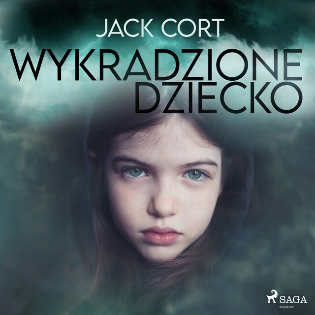 Book cover for Wykradzione dziecko