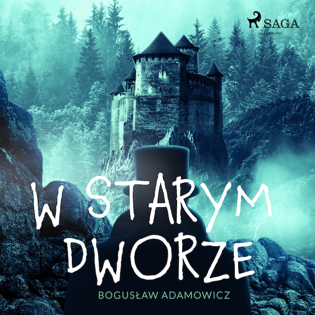 Book cover for W starym dworze