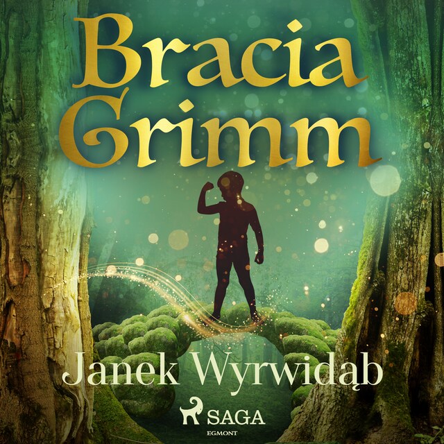 Book cover for Janek Wyrwidąb