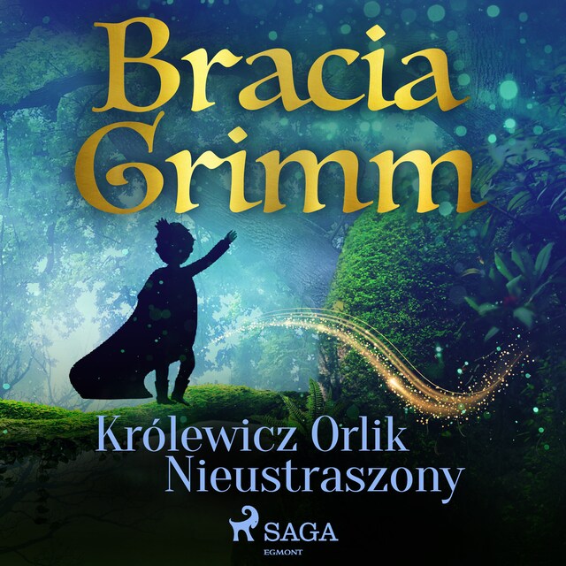 Book cover for Królewicz Orlik Nieustraszony