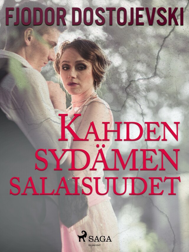 Book cover for Kahden sydämen salaisuudet