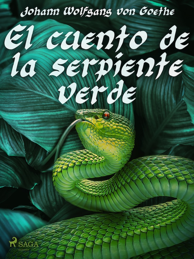 Buchcover für El cuento de la serpiente verde