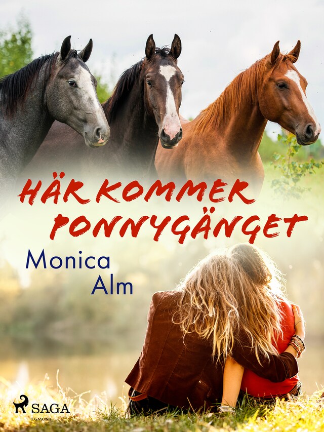 Buchcover für Här kommer Ponnygänget