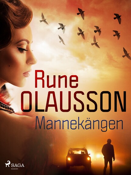 Mannekängen bookCoverFor