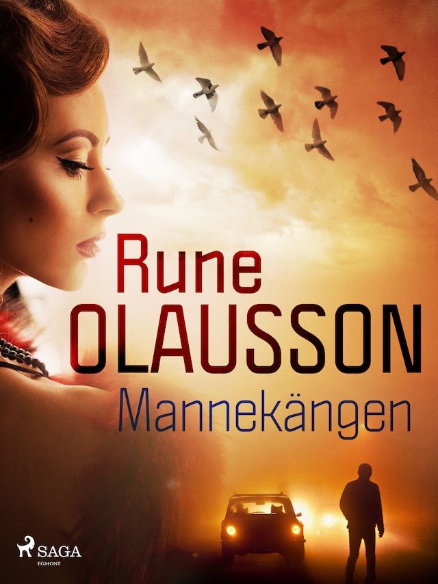 Book cover for Mannekängen