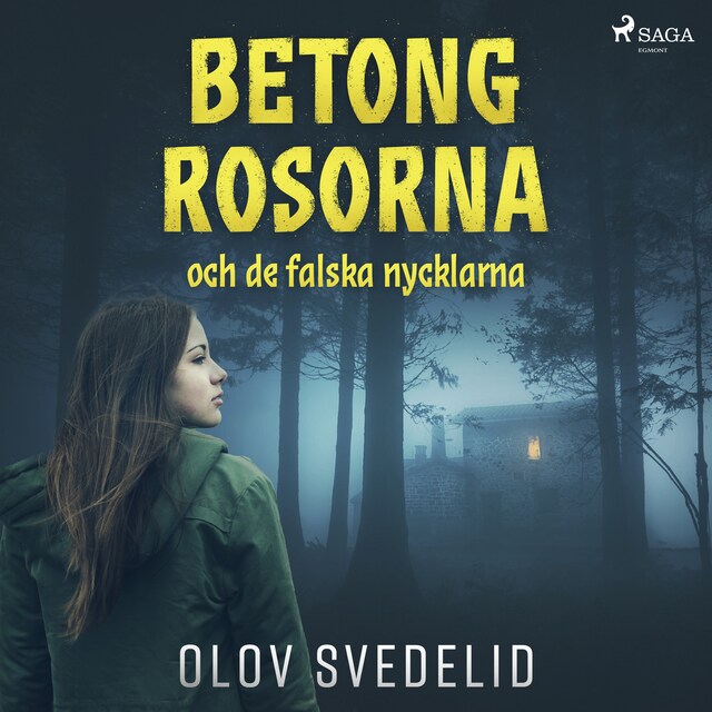 Book cover for Betongrosorna och de falska nycklarna