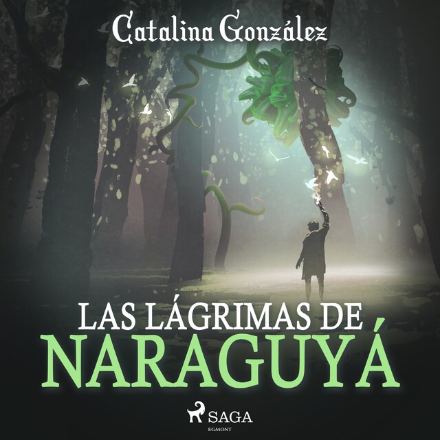 Kirjankansi teokselle Las lágrimas de Naraguyá