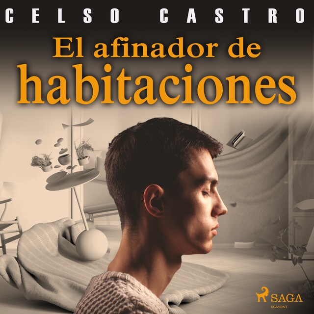 Book cover for El afinador de habitaciones