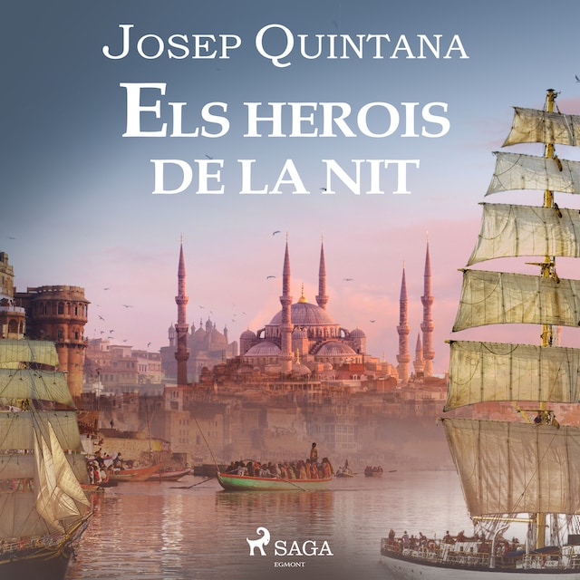 Book cover for Els herois de la nit
