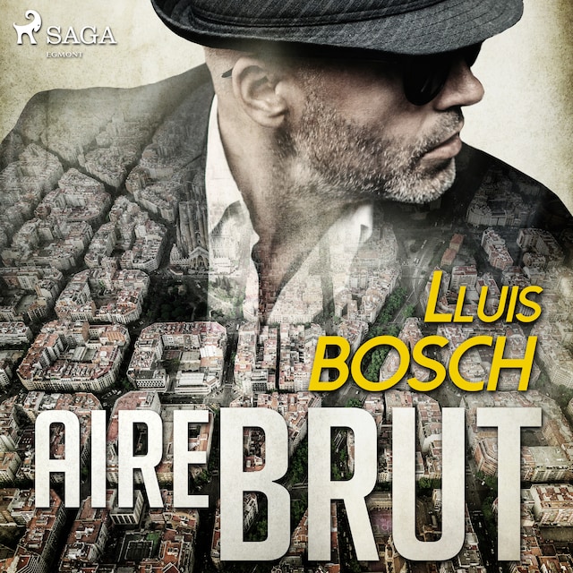 Book cover for Aire brut