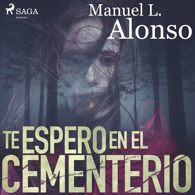 Book cover for Te espero en el cementerio