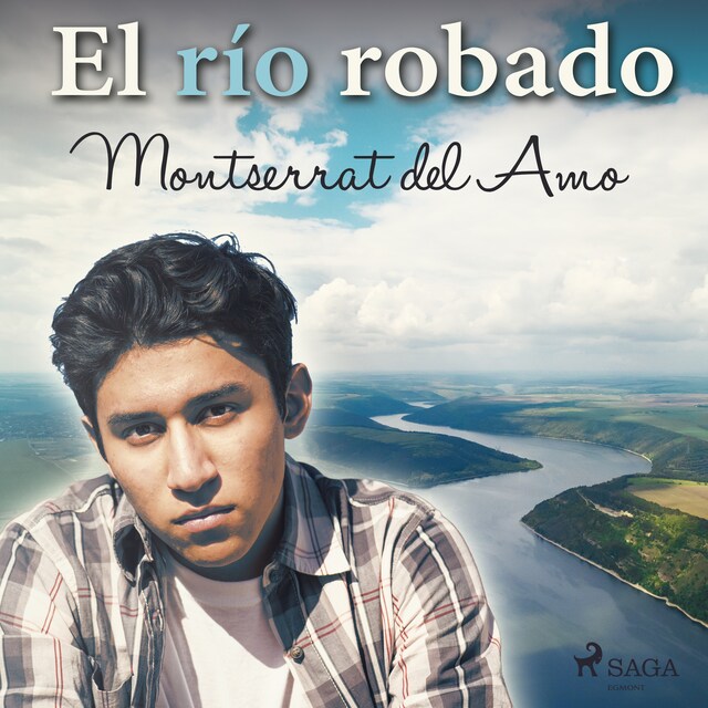 Book cover for El río robado