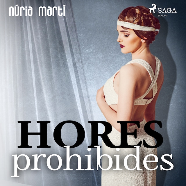 Book cover for Hores prohibides