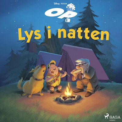Op - Lys i natten