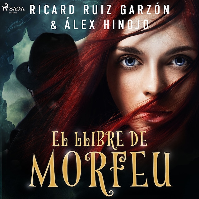 Book cover for El llibre de Morfeu