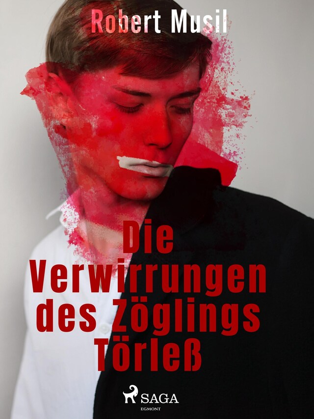 Book cover for Die Verwirrungen des Zöglings Törleß