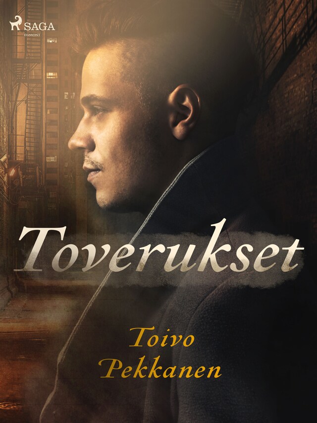 Book cover for Toverukset