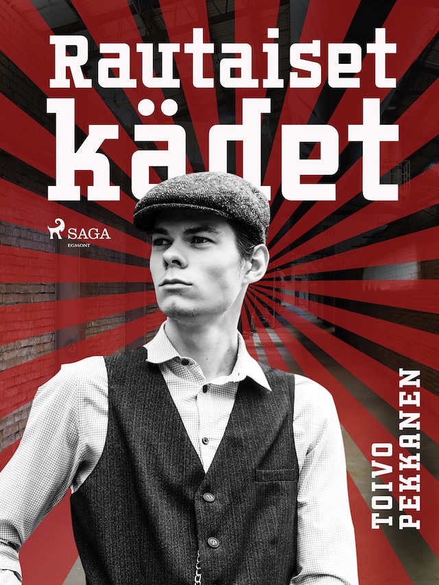 Book cover for Rautaiset kädet