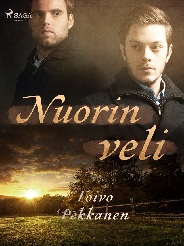 Book cover for Nuorin veli