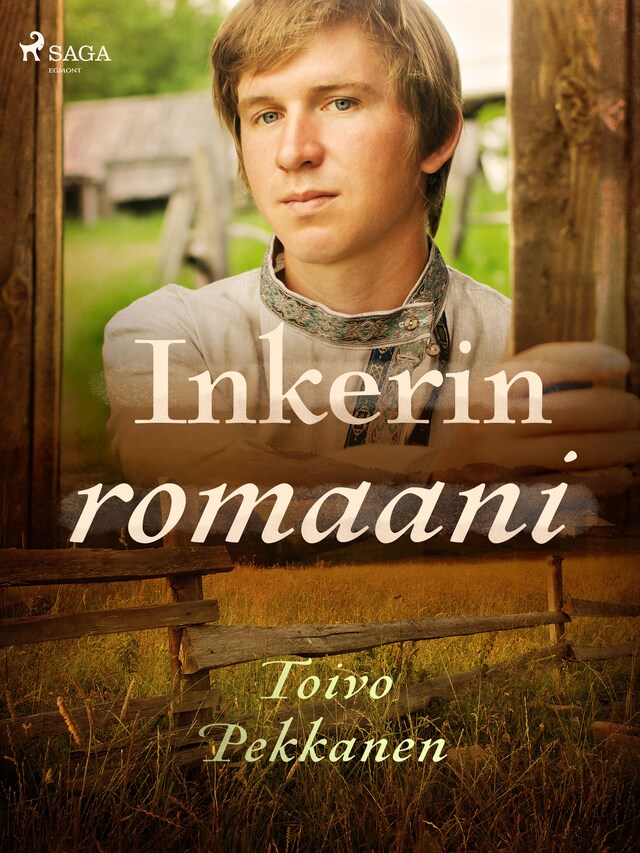 Book cover for Inkerin romaani