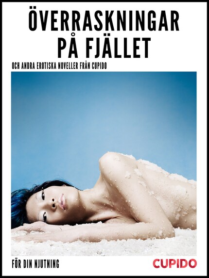 Överraskningar på fjället – och andra erotiska noveller från Cupido bookCoverFor