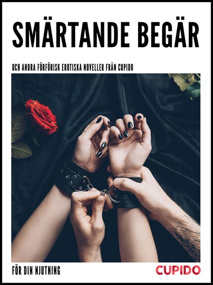 Smärtande begär - och andra förförisk erotiska noveller från Cupido bookCoverFor
