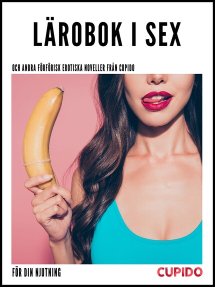 Lärobok i sex - och andra förförisk erotiska noveller från Cupido bookCoverFor