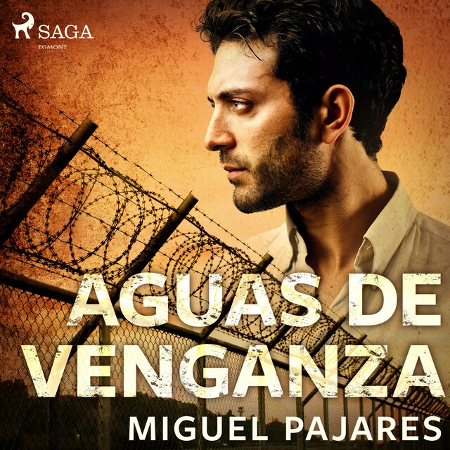 Buchcover für Aguas de venganza