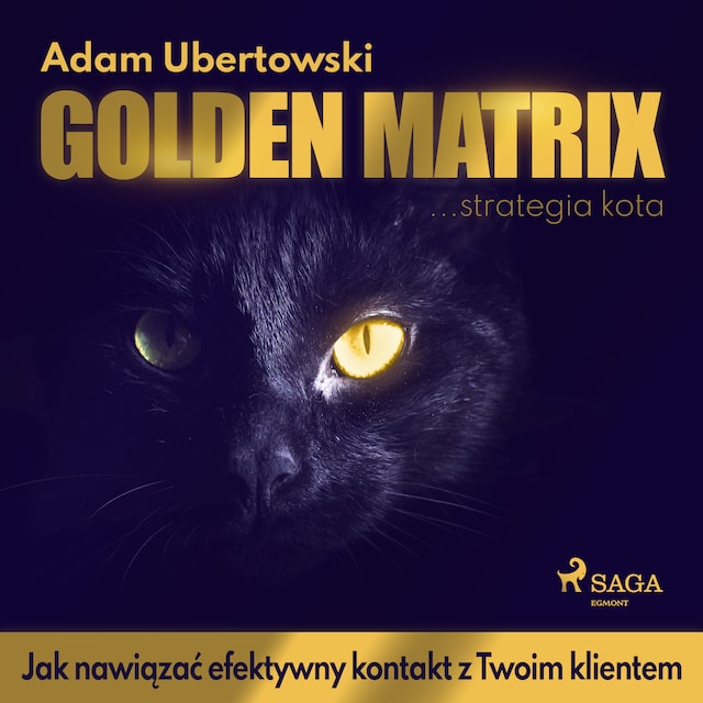 Book cover for Golden Matrix. Jak nawiązać efektywny kontakt z Twoim klientem