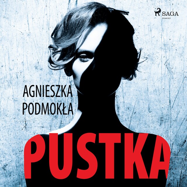 Book cover for Pustka