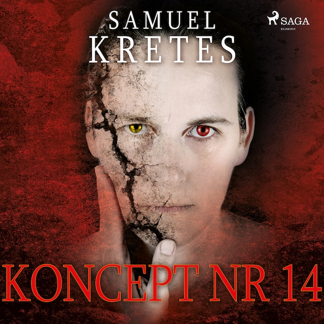 Book cover for Koncept nr 14