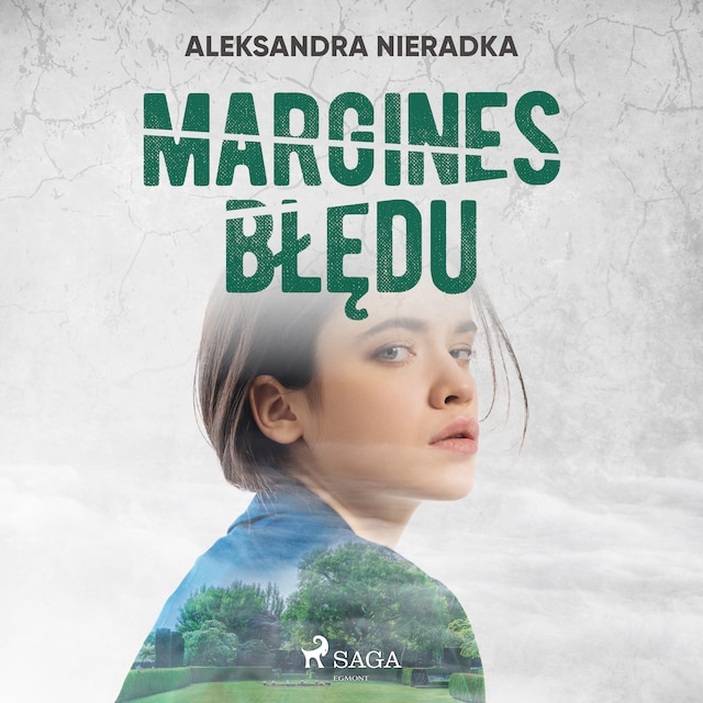 Book cover for Margines błędu