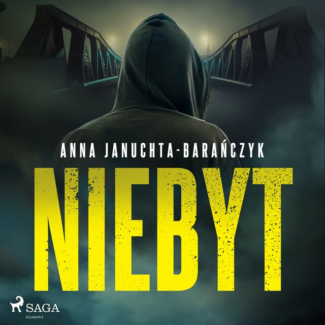 Book cover for Niebyt