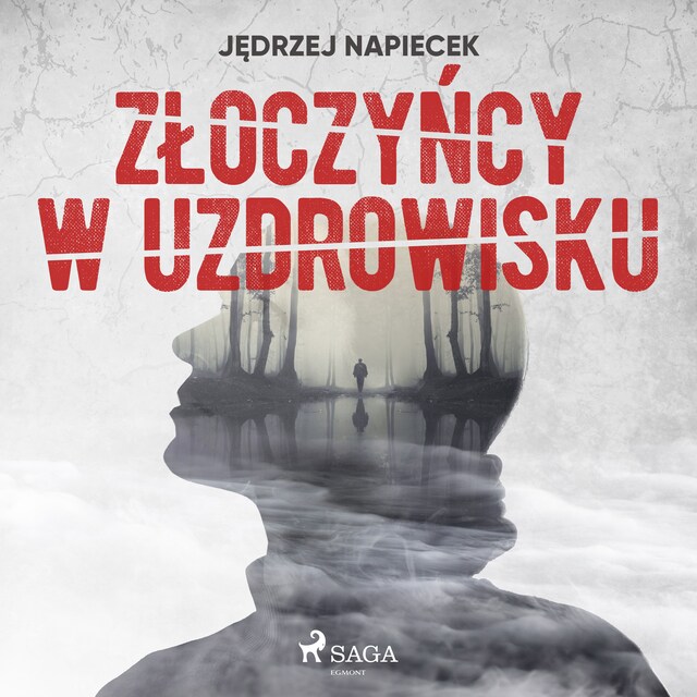 Couverture de livre pour Złoczyńcy w uzdrowisku