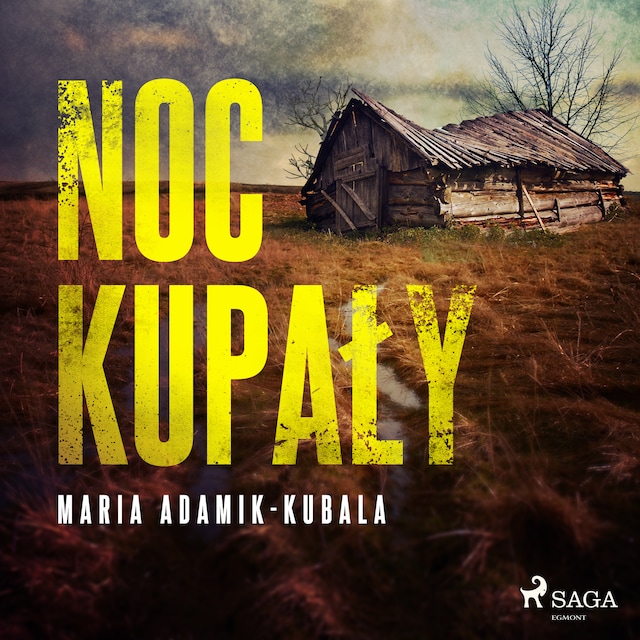 Book cover for Noc Kupały