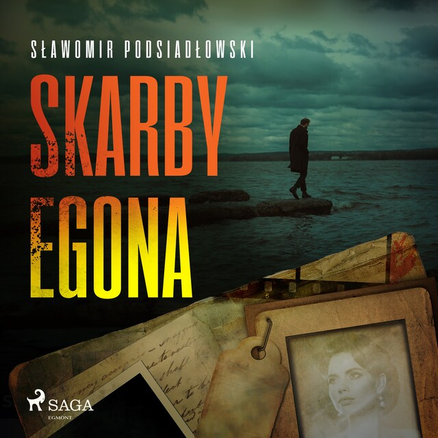 Book cover for Skarby Egona