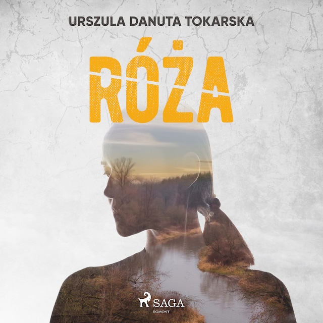 Book cover for Róża
