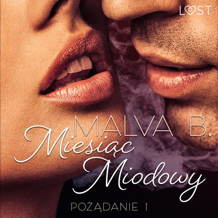 Pożądanie 1: Miesiąc miodowy - opowiadanie erotyczne bookCoverFor