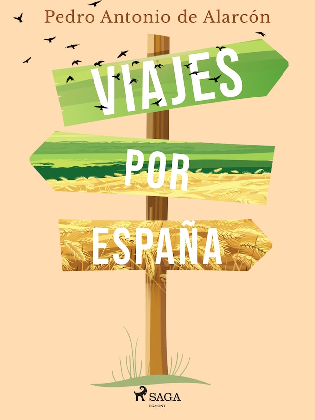 Copertina del libro per Viajes por España