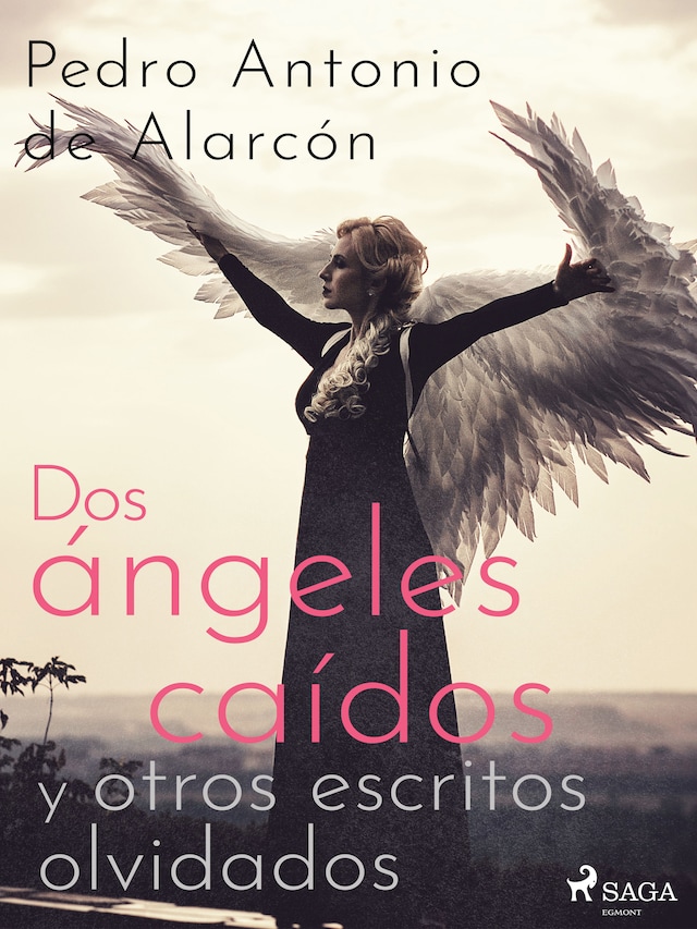 Book cover for Dos ángeles caídos y otros escritos olvidados