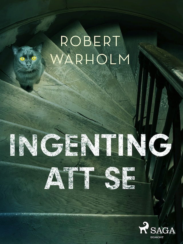 Book cover for Ingenting att se