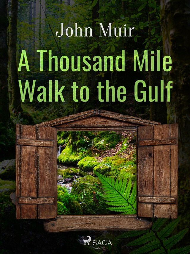 Copertina del libro per A Thousand Mile Walk to the Gulf