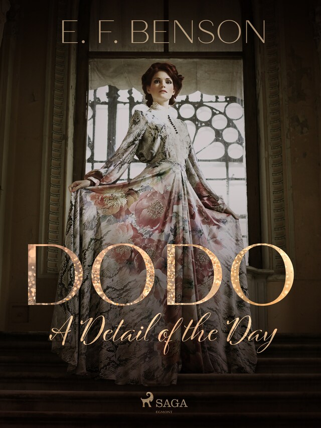 Book cover for Dodo: A Detail of the Day